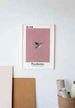 Load image into Gallery viewer, Pocahontas